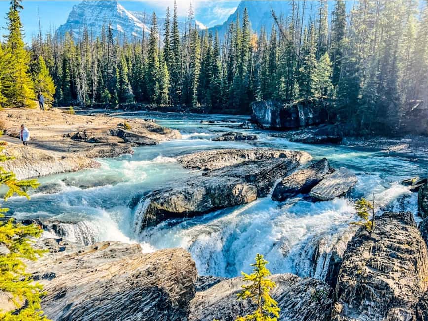 Banff: Emerald Lake, Wapta Falls & Takakkaw Falls Day Trip - Who Gets the Best Value