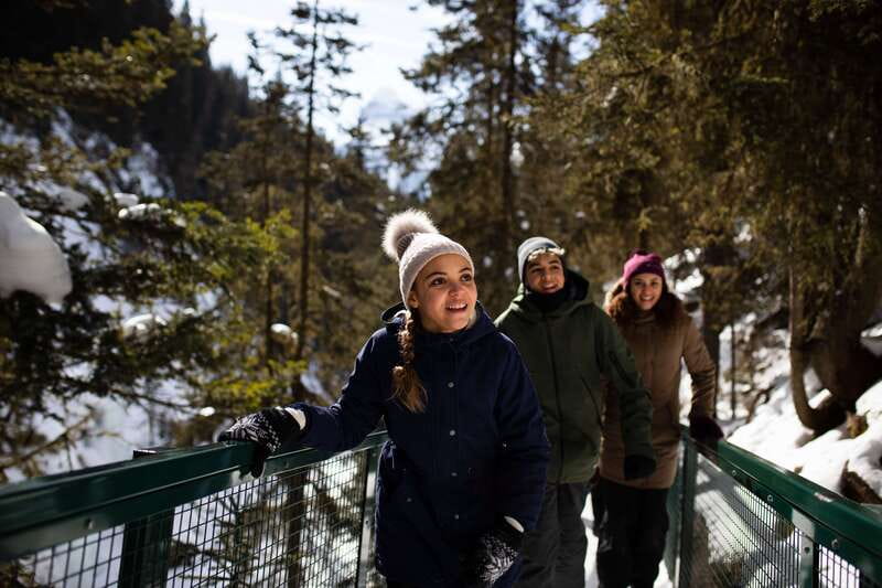 Banff: Premium Johnston Canyon Frozen Falls Guided Adventure - The 30-minute walk to Lower Falls