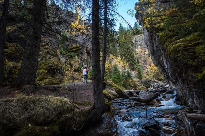 Banff: Thermal Waters and Hidden Waterfalls - 3hr Walk - The guide is a major part of the value