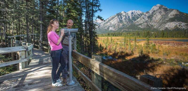 Banff: Thermal Waters and Hidden Waterfalls - 3hr Walk - Photography, flowers, and mountain views