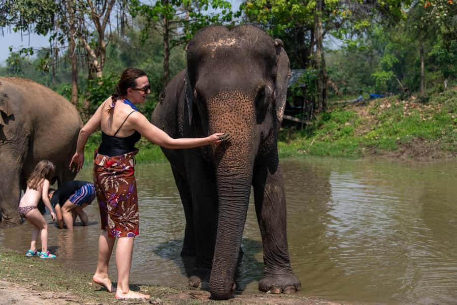 Bangkok: Elephant Sanctuary & Erawan Waterfall Tour - Key points at a glance