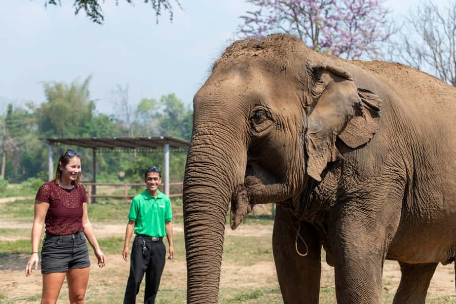 Bangkok: Elephant Sanctuary & Erawan Waterfall Tour - Should you book this Bangkok day trip?