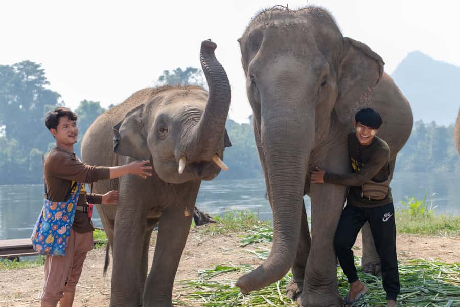 Bangkok: Elephant Sanctuary & Erawan Waterfall Tour - A Thai buffet before the waterfall