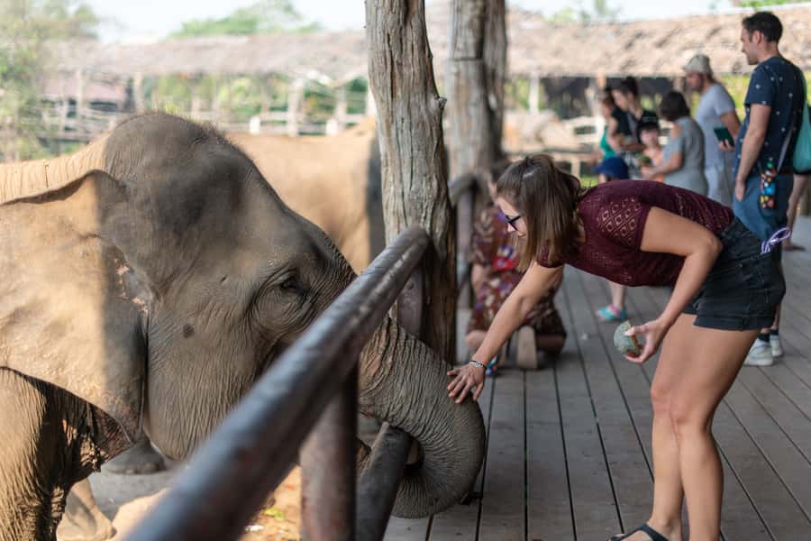Bangkok: Elephant Sanctuary & Erawan Waterfall Tour - What to pack for a wet, active day