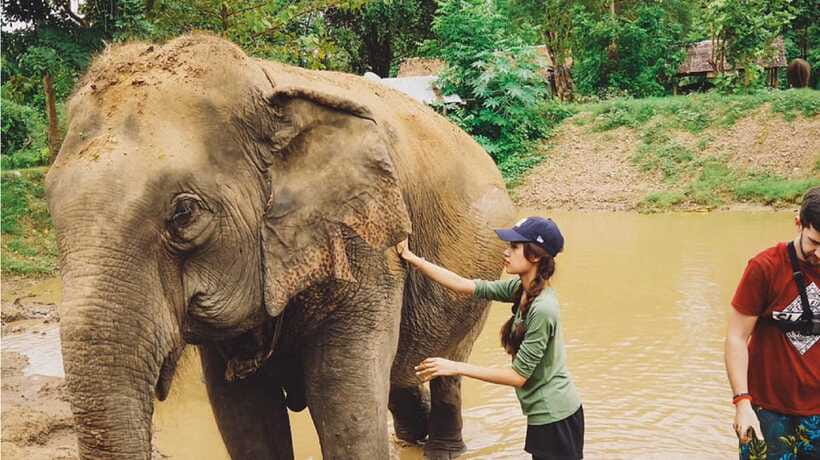 Bangkok: Elephants World & Erawan Waterfall in Kanchanaburi - Is $175 per person fair?