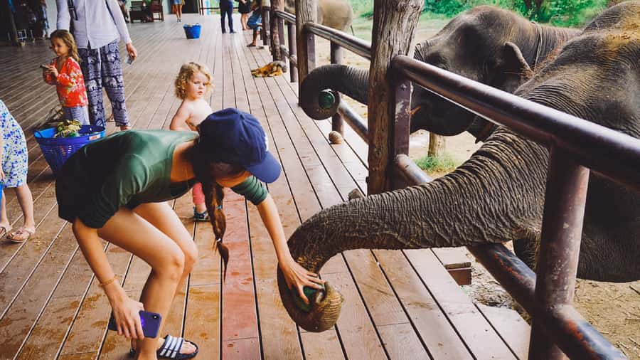 Bangkok: Elephants World & Erawan Waterfall in Kanchanaburi - Who should book this experience?