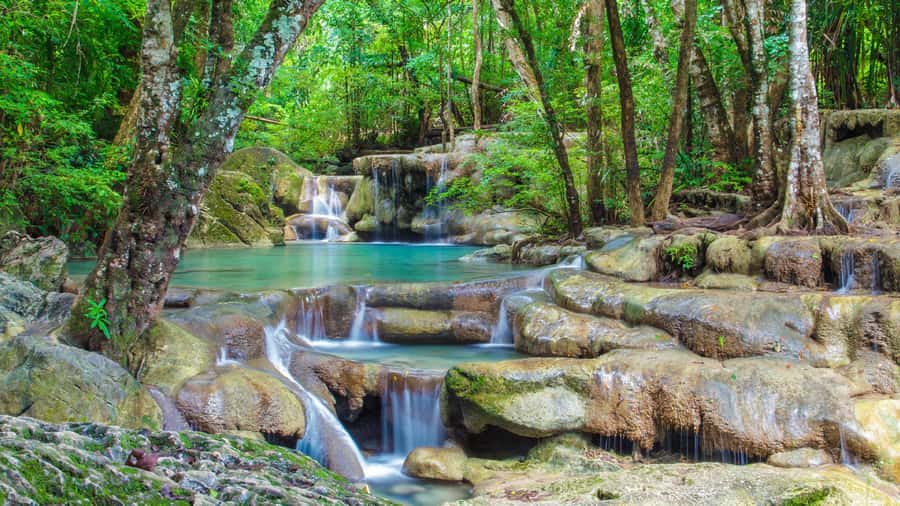 Bangkok: Elephants World & Erawan Waterfall in Kanchanaburi - The three-hour road trip from Bangkok