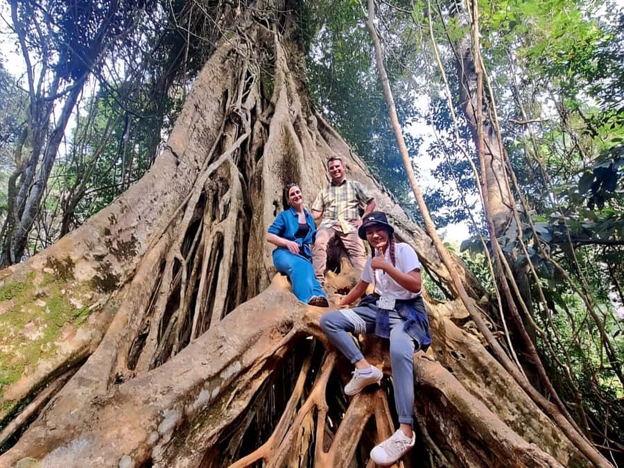 Bangkok: Khao Yai Nature Trails & Heaw Suwat Waterfall - Leaving Bangkok before breakfast