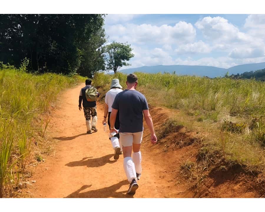 Bangkok: Khao Yai Nature Trails & Heaw Suwat Waterfall - The Nong Phak Chi trail takes about 2.5 hours