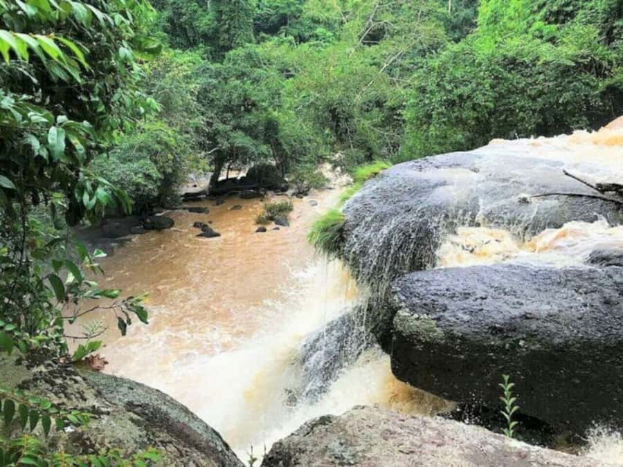 Bangkok: Khao Yai Nature Trails & Heaw Suwat Waterfall - Thai lunch after the forest walk