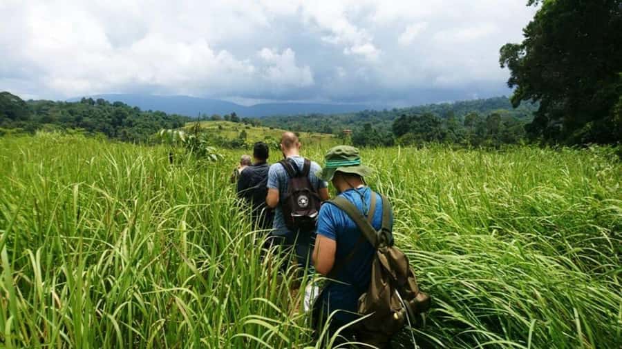 Bangkok: Khao Yai Nature Trails & Heaw Suwat Waterfall - KM 30 viewpoint and the first taste of Khao Yai