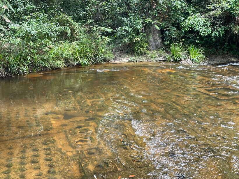 Banteay Srei, Kulen Waterfall & Beng Mealea Small-Group Tour - Lunch and local tastes on the road