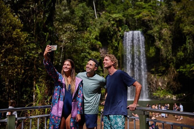 Barefoot Atherton Tablelands Adventure by Cairns Waterfalls - The Cathedral Fig Tree is a quick but impressive stop
