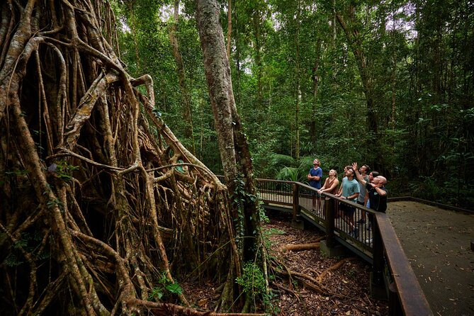 Barefoot Atherton Tablelands Adventure by Cairns Waterfalls - The morning drive to Babinda Boulders and Josephine Falls