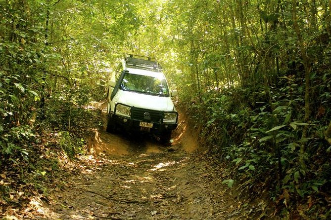 Barron Gorge and Kuranda National Park Half Day Rainforest and Waterfall 4WD Tour from Cairns - Davies Creek and its clear swimming hole