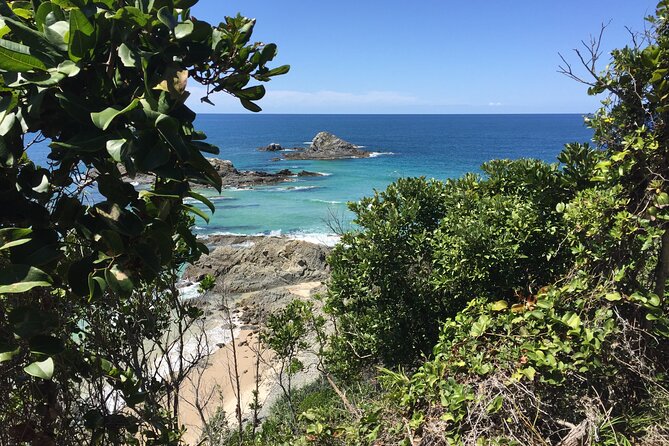 Behind The Bay - Explore Like a Local: Waterfalls/paddleboarding - Lake Ainsworth: calm water and tea tree colour