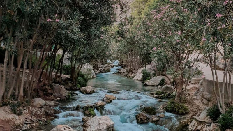 Benidorm: Mountains Half-Day Jeep Trip to Algar Waterfalls - Who will enjoy this most?