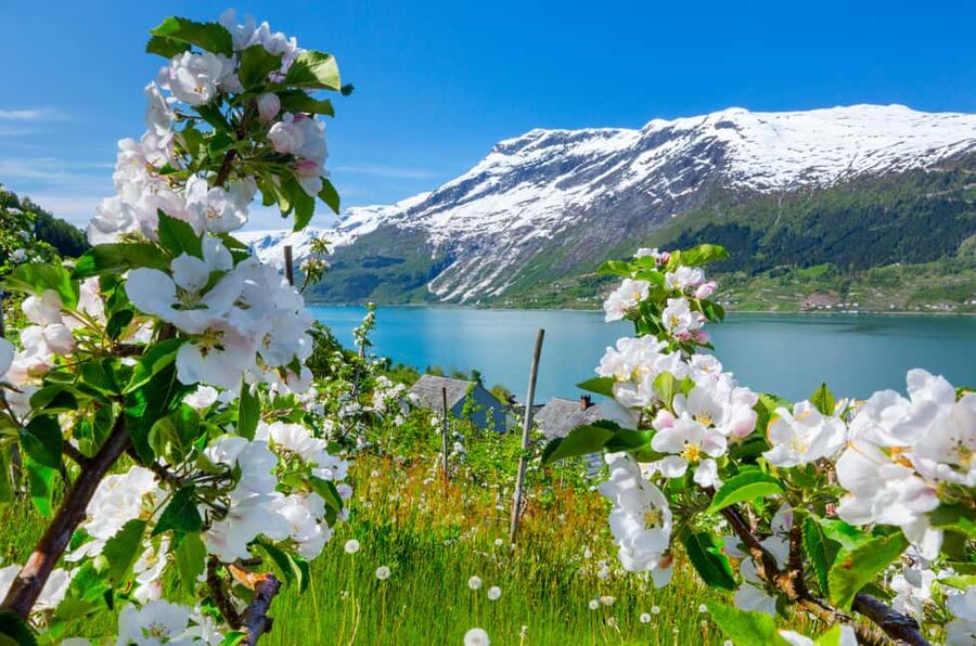 Bergen: Hardangerfjord & Waterfalls Bus Tour with Apple Pie - Kvamskogen brings mountain scenery from the bus window