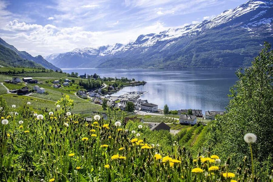 Bergen: Hardangerfjord & Waterfalls Bus Tour with Apple Pie - Salthammeren’s Stone Age carvings add an older layer