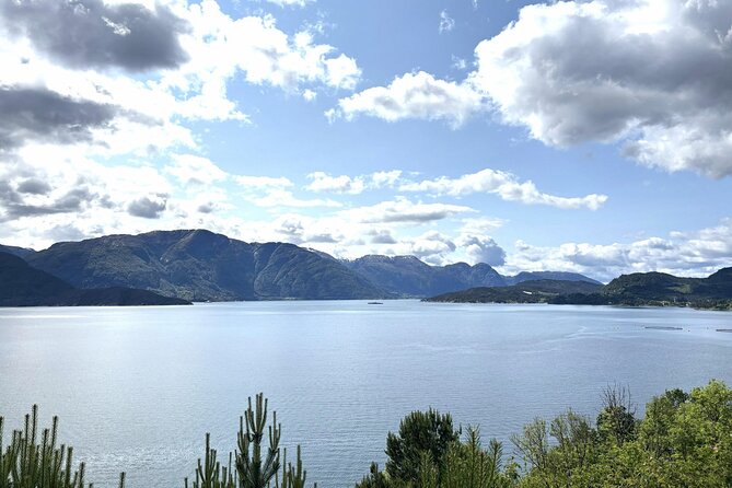 Bergen: Hardangerfjord, Waterfalls, Culture & Apple pie - Norheimsund and the apple pie break
