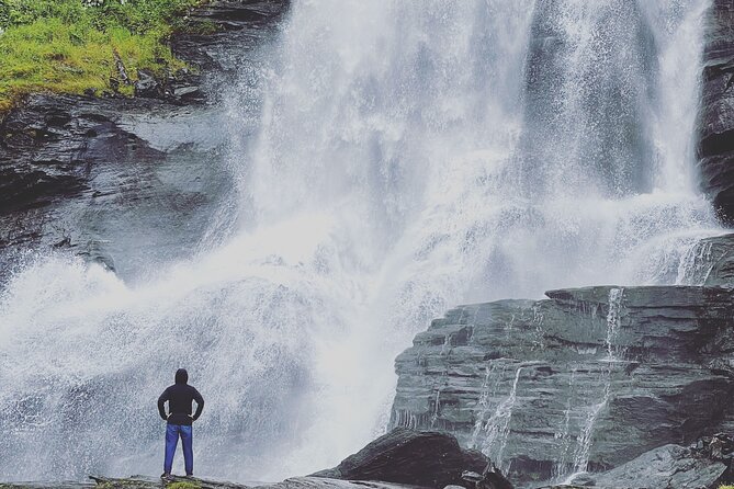 Bergen : Private Waterfalls and Wonders Tour in Norway - What the private vehicle adds