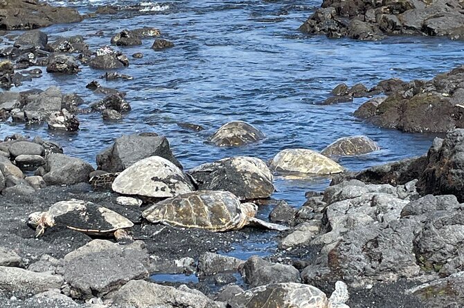 Best of Big Island: Volcanoes, Waterfall, Blacksand Beach & Lunch - A local lunch breaks up the park visit