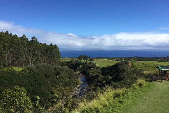 Big Island: 9-Line Waterfall Zipline Experience - Timing, weather, and possible closures