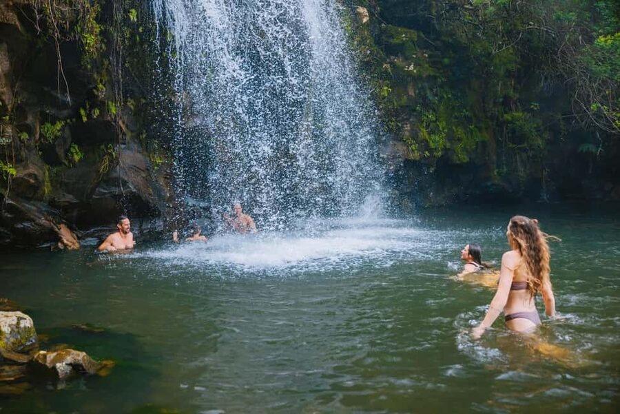 Big Island: Full Day Adventure Tour of the Kohala Waterfalls - Key things to know before you book