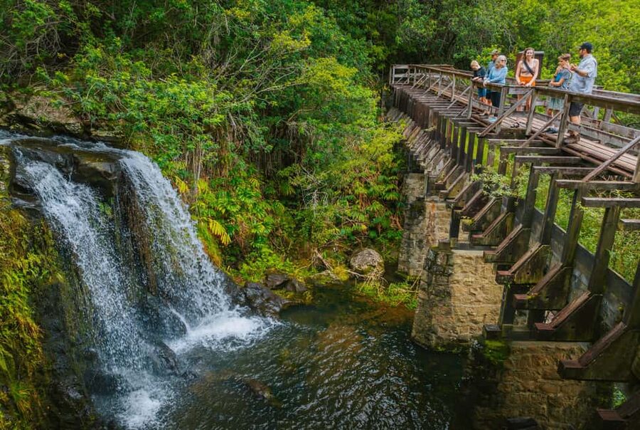 Big Island: Full Day Adventure Tour of the Kohala Waterfalls - What the guides add to the experience