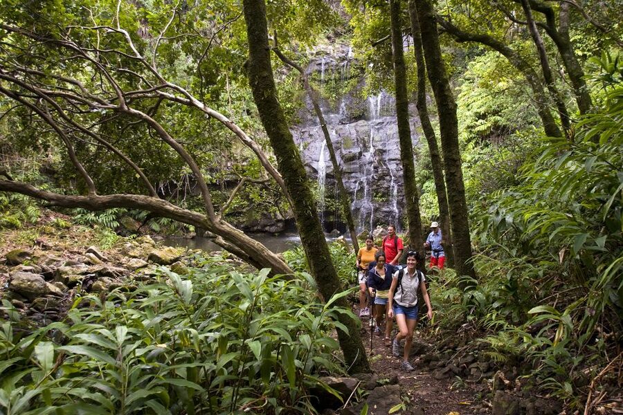 Big Island: Full Day Adventure Tour of the Kohala Waterfalls - Timing, pickup, and cancellation details