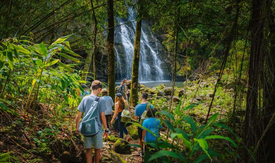 Big Island: Full Day Adventure Tour of the Kohala Waterfalls - Should you book the Kohala Waterfalls tour?