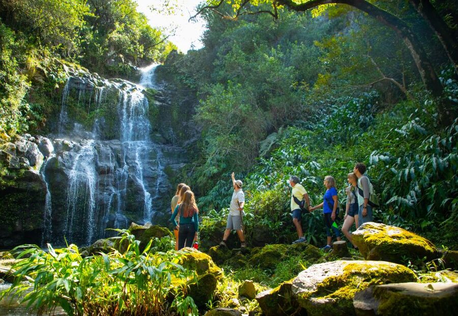 Big Island: Full Day Adventure Tour of the Kohala Waterfalls - The 4WD ride into private Kohala country