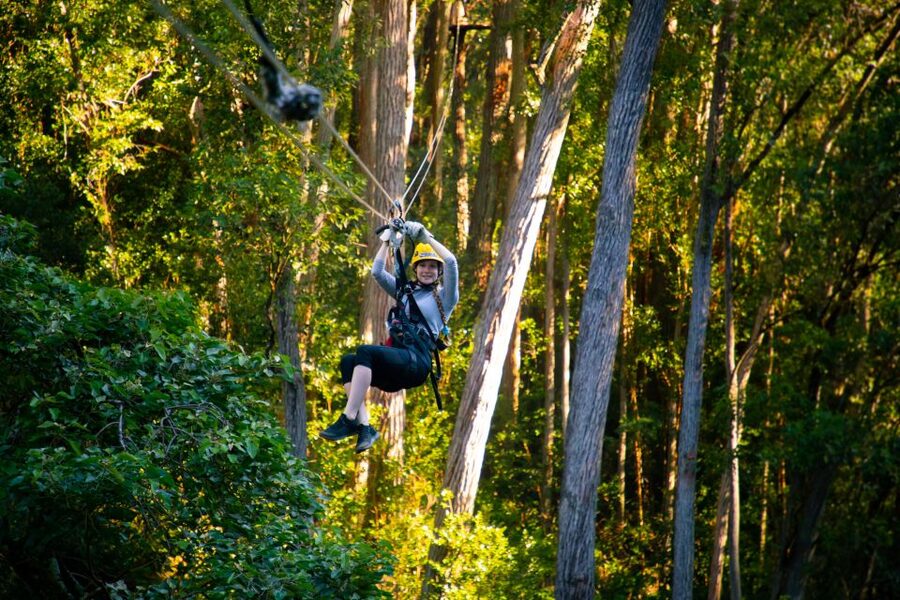 Big Island: Full-Day Kohala Zipline and Waterfall Adventure - From Kona to North Kohala in 90 minutes