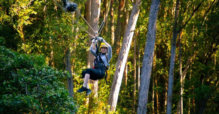 Big Island: Full-Day Kohala Zipline and Waterfall Adventure - Lunch with Kohala Coast views