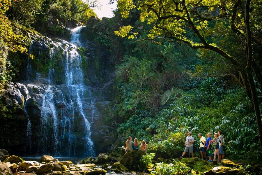 Big Island: Full-Day Kohala Zipline and Waterfall Adventure - Is $361 a fair price?