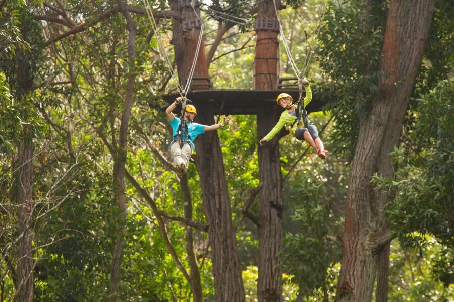 Big Island: Full-Day Kohala Zipline and Waterfall Adventure - Who will enjoy this day most?