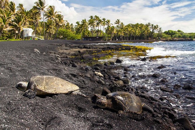 Big Island Highlights: Coffee, Volcano, Black Sands & Waterfall - Key points at a glance