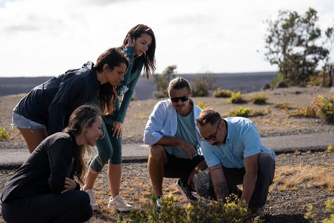 Big Island Highlights: Coffee, Volcano, Black Sands & Waterfall - Why this 11-hour route works