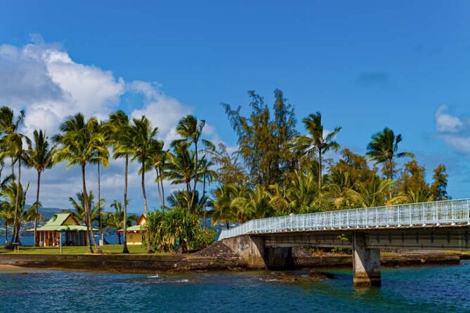 Big Island Scenic Tour: Volcano HiloTown Waterfalls Beach & Lunch - Kamehameha, Liliuokalani Gardens, and Hilo’s cultural side