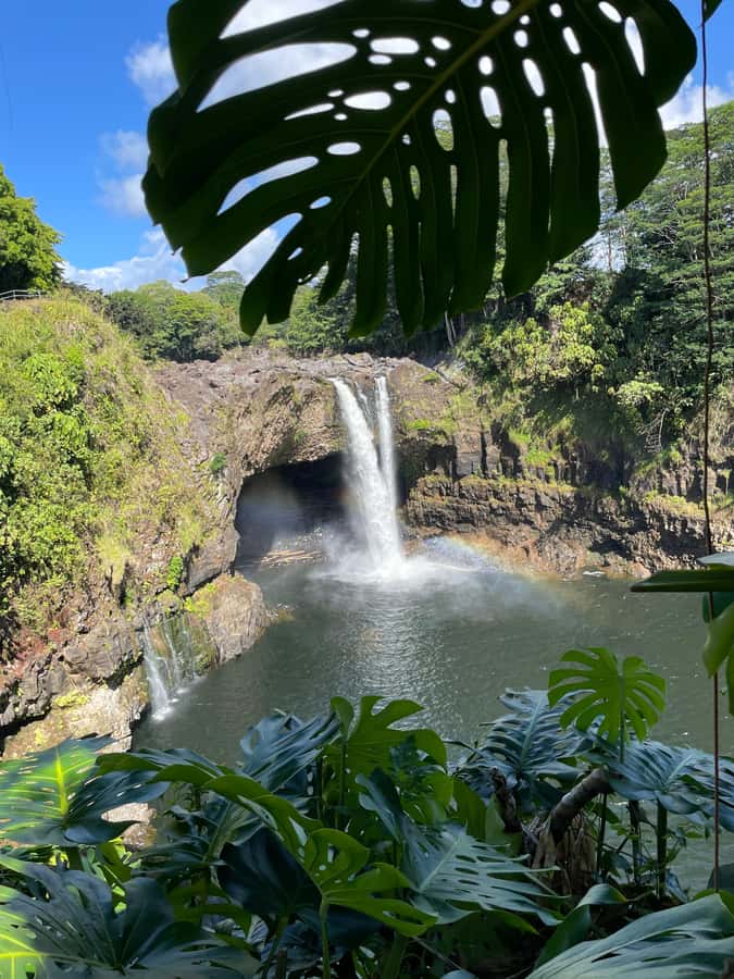 Big Island: Volcano, Black Sand Beach, Waterfall, with Lunch - Walking inside Nahuku, the Thurston Lava Tube