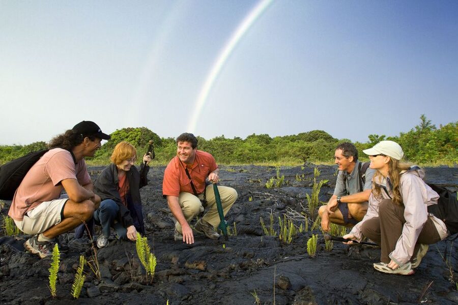 Big Island: Volcano, Chocolate & Waterfall Adventure - Is $309 a fair price?