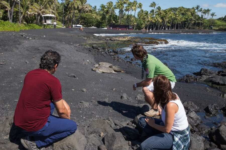Big Island: Volcanoes, Waterfalls, & Coffee Farm Day-Trip - Why this Big Island tour covers so much ground