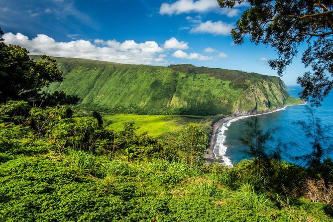 Big Island Waterfalls Tour with Swimming and Botanical Garden - Hawaii Tropical Botanical Garden: the most peaceful walk
