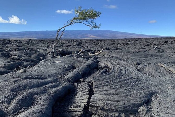 Big Island Waterfalls Tour with Swimming and Botanical Garden - Akaka Falls and the Hamakua Coast