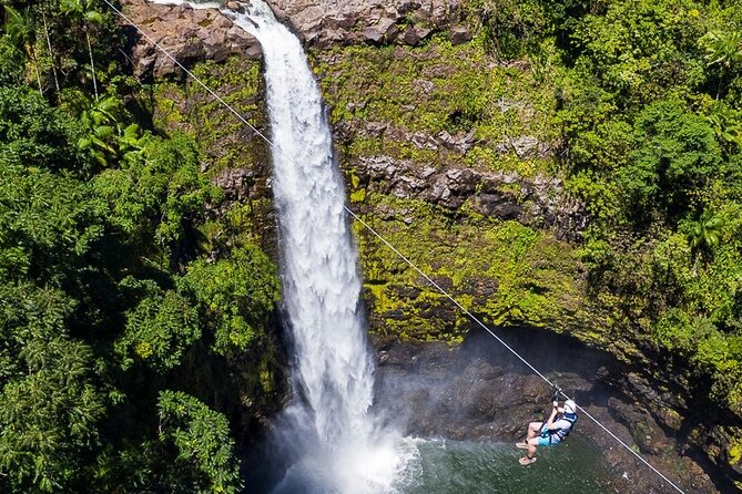 Big Island Zipline Tour Near Akaka Falls (250-ft Waterfall!) - Hawaiian Agriculture Between the Platforms