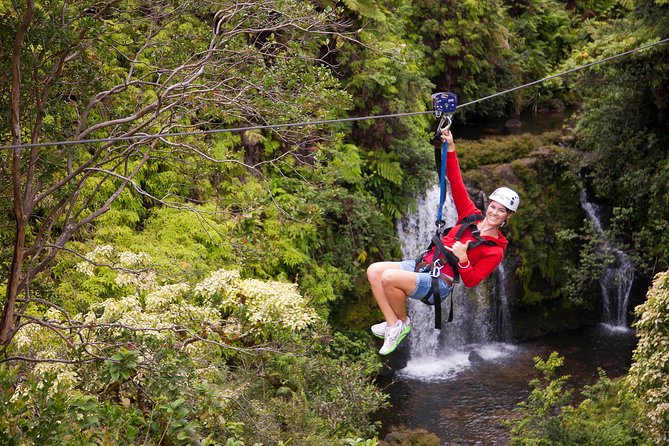 Big Island Zipline Tour Near Akaka Falls (250-ft Waterfall!) - Safety, Comfort, and Physical Demands