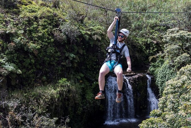 Big Island Zipline Tour Near Akaka Falls (250-ft Waterfall!) - Is $246 a Good Value?