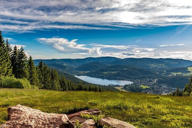 Black Forest and Rhine Falls Day Trip from Zurich - What $103.95 buys you