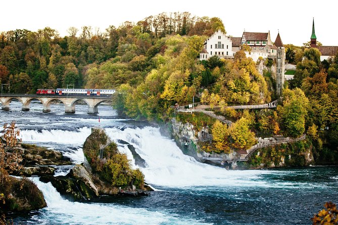 Black Forest and Rhine Falls Day Trip from Zurich - Who will enjoy this day trip