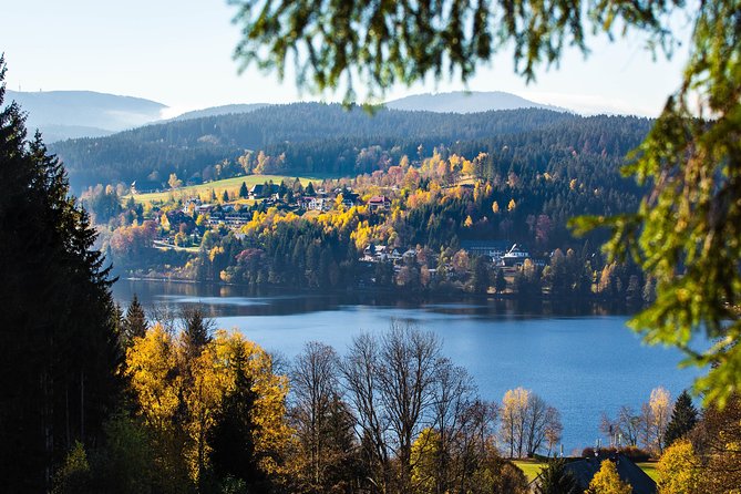 Black Forest and Rhine Falls Day Trip from Zurich - The best way to use your free time